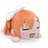 hjnncollect