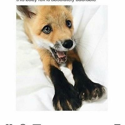 KodyBlade's profile picture. 