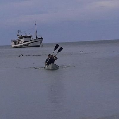 canario21alr's profile picture. 