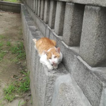 大阪住み、シンママになりました。シンママでもしっかりやっていけるよう頑張りたいです。ここで皆さんといろいろな情報交換ができたら嬉しいです。よろしくお願いします。
趣味：子育て、 節約