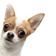 KieraaaNicole's profile picture. love my fam ad i want to see my fave youtubers❤