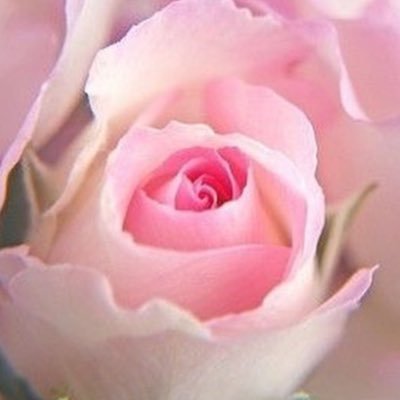 GetTH1rw9HPKPhg's profile picture. 