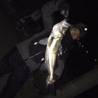 HIRO (@hiro_lunker) 's Twitter Profile