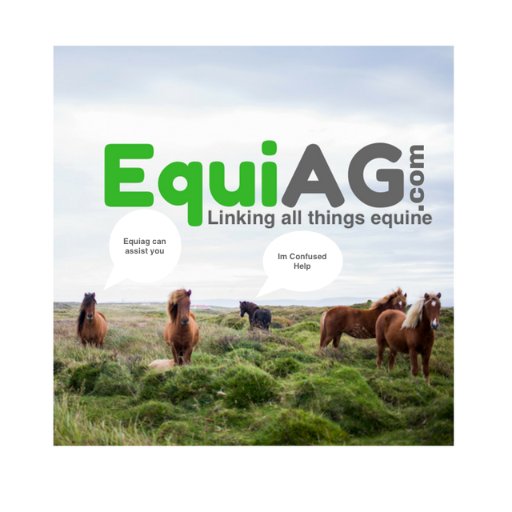 https://t.co/sg84bqiln5 is an online search engine that aims to connect all equine related businesses, service providers and professionals in Ireland & the UK.