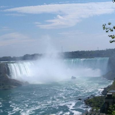 FantasyLea's profile picture. 