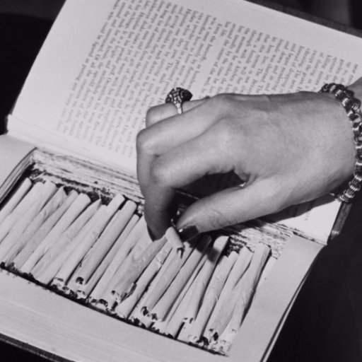 TopicPavle's profile picture. 