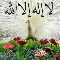 💖🌹💐🌺رافد التميمي💐🌺🌼 (@rafid_m_t) 's Twitter Profile Photo 💖🌹💐🌺رافد التميمي💐🌺🌼 (@rafid_m_t) 's Twitter Profile Photo