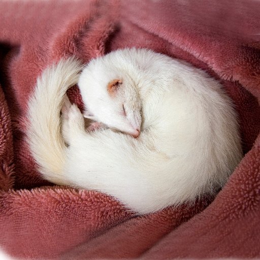 saku_papa's profile picture. 