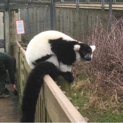 web_jeff's profile picture. World Wide Webb