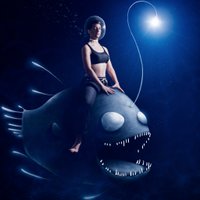 Pauline Calmé (@pipocalme) 's Twitter Profile Photo