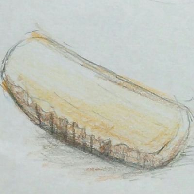 ちんすこうさんのプロフィール画像