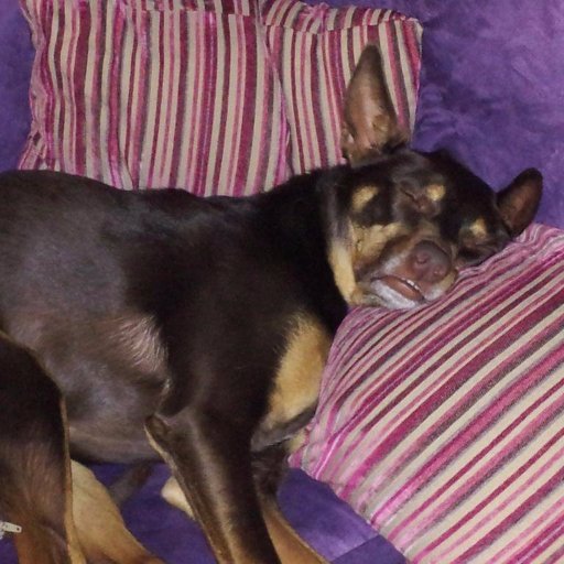 jakoblily's profile picture. 