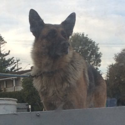 BiancaT08386252's profile picture. Australia Nsw bodalla