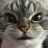 twitter profile