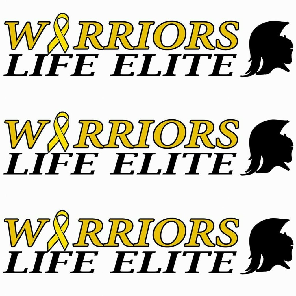 WLE is a grassroots program out of eastern NC. Our values are
Respect•Integrity•Trust•Excellence•Character•. Accountability•Teamwork =SUCCESS