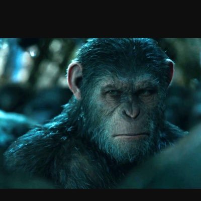 JesusAG73's profile picture. Enamorada de la moda juvenil