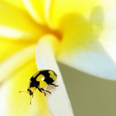 Menschen, die immer daran denken, was andere von ihnen halten, wären sehr überrascht, wenn sie wüßten, wie wenig die anderen über sie nachdenken.BertrandRussell