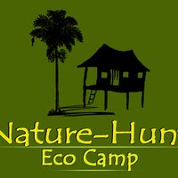 Nature Hunt (@naturehunt1) 's Twitter Profile