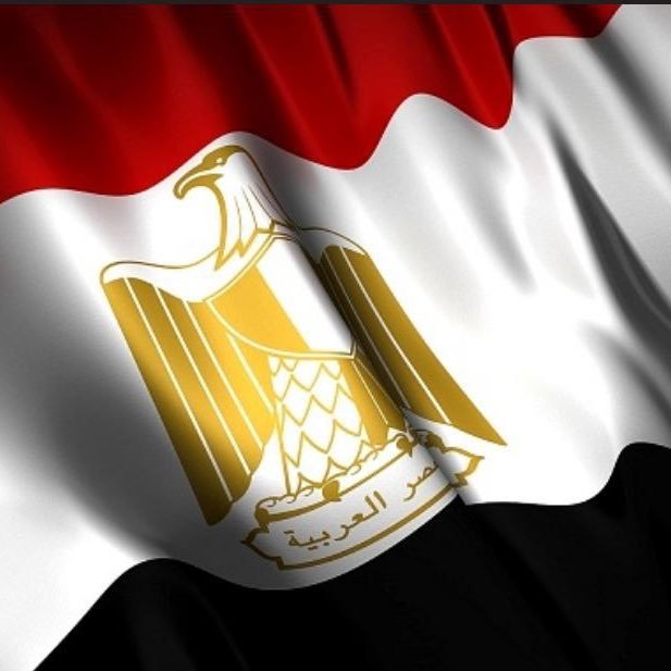 eldawlagia20301's profile picture. الدولجية : الدولة أولاً ، القوات المسلحة و الشرطة ، الرئيس السيسي ، صندوق تحيا مصر ، الجيوش العربية الوطنية