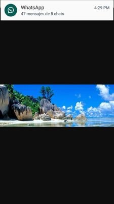 coromotosilva17's profile picture. peluquera manicurista y nacionalista