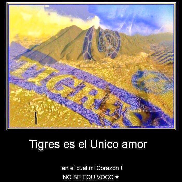 regio 100% tigre desde la cuna !! 🏆🏆🏆🏆🏆🏆🏆 🏆