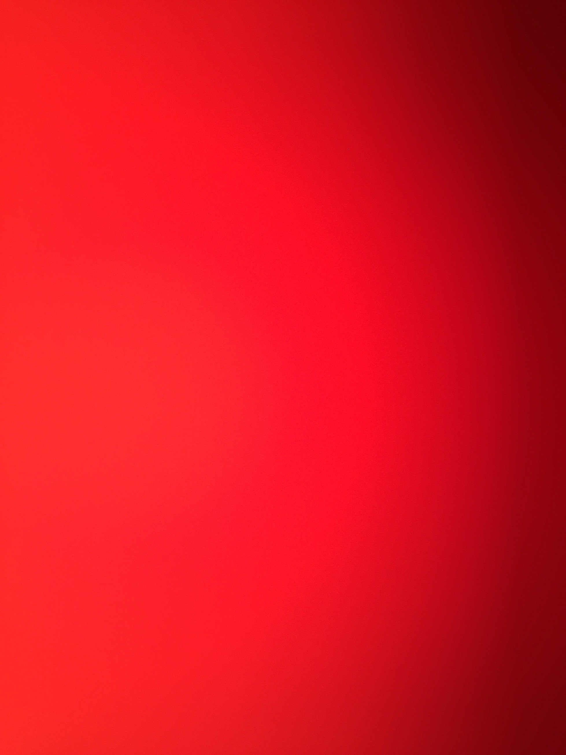 dudasalgado2004's profile picture. meu twitter novo eh : @dudasalgado09