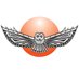 Tundra North Tours (@tundranorthtour) Twitter profile photo Tundra North Tours (@tundranorthtour) Twitter profile photo