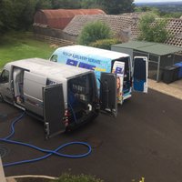 Elite Carpet Cleaner (@cleanerelite) 's Twitter Profile