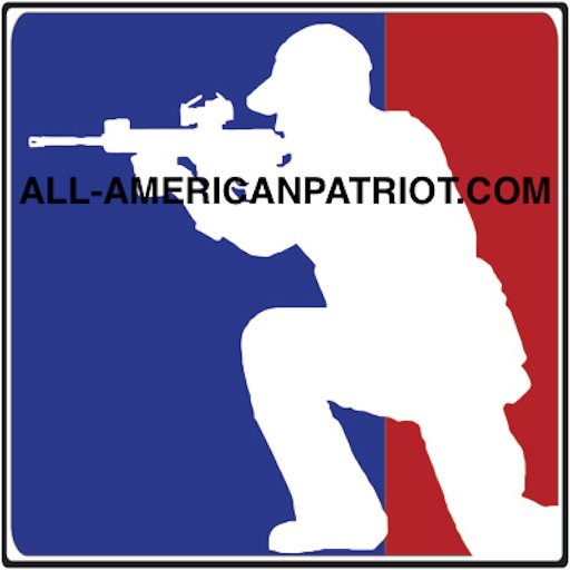 AllAmrcnPatriot Profile Picture