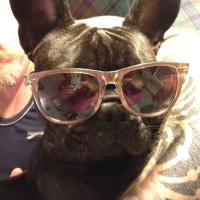 Dixierocks66's profile picture. 