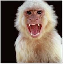 Badmonkey39's profile picture. Well the next 4 years are going to be interesting.