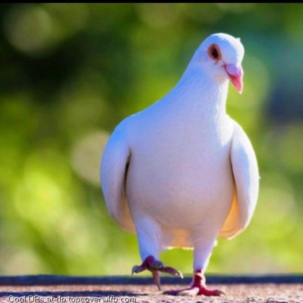 BruckG21's profile picture. 