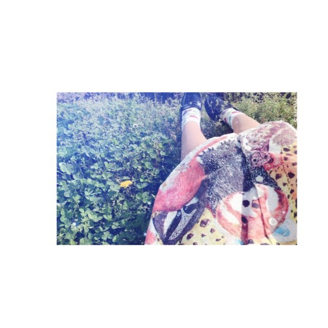 ひいらぎ。趣味垢さんのプロフィール画像