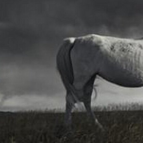 septemberstart2's profile picture. 