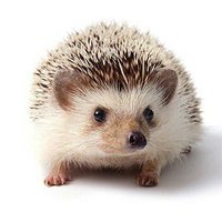 京都 賢 (@1228kenji) Twitter profile photo