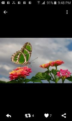 arcoiris1413's profile picture. 