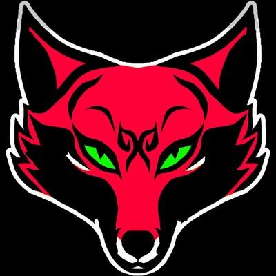 wass up everybody Roman here aka REDFOX and I'm a huge fan of STARFOX games and just a normal but a professional race car driver.