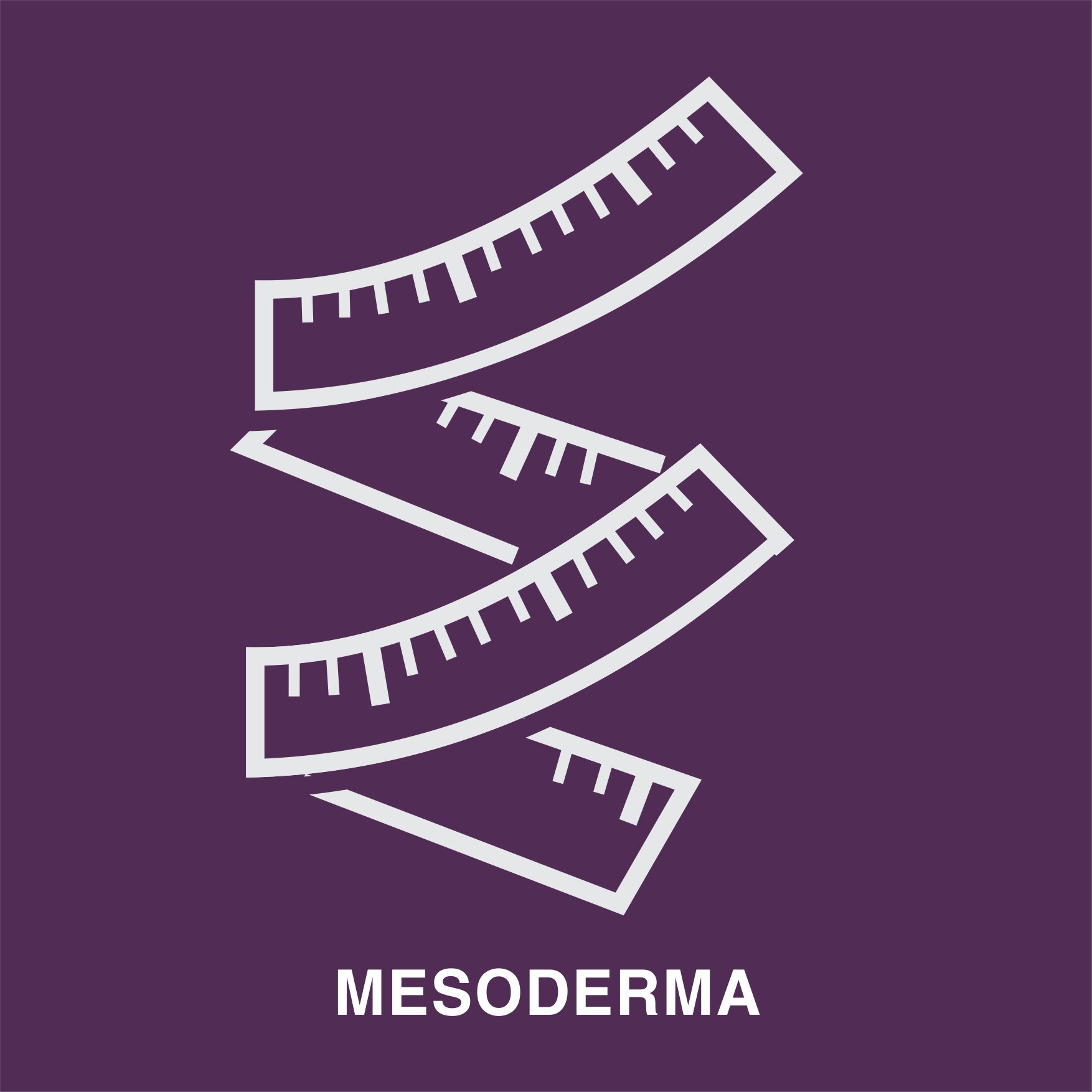 MesoDerma_Mex's profile picture. 