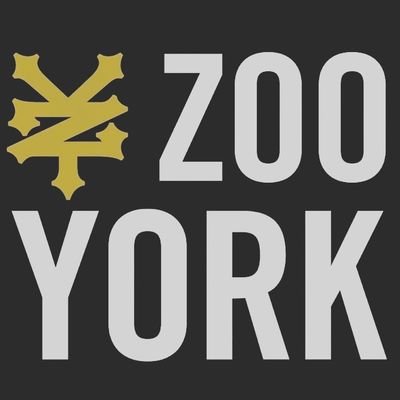 Somos distribuidores de zapatos Zoo York originales, ubicados en la isla de Margarita con envíos a nivel nacional.