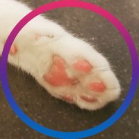 ๋ฐ์ด๋ฐ์ดํ ๋ฆฌ์๐ฆ๐ณ๏ธโ๐ (@thought_fair) 's Twitter Profile Photo ๋ฐ์ด๋ฐ์ดํ ๋ฆฌ์๐ฆ๐ณ๏ธโ๐ (@thought_fair) 's Twitter Profile Photo