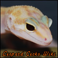 The Leopard Gecko Wiki is a free searchable database of Leopard Gecko Information!