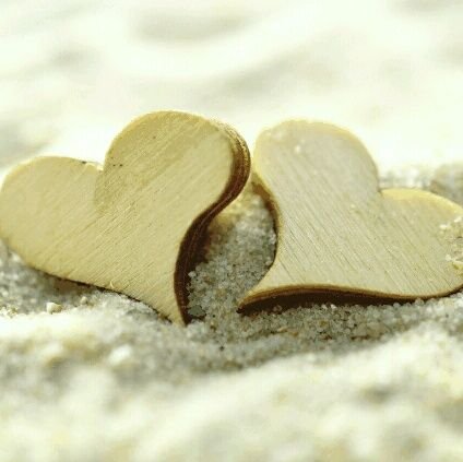 night_no_end's profile picture. 알림을 켜놓아주세요 최대한 1시간 간격으로 영어단어를 올립니다 이렇게라도 영어단어에 익숙해져 보아요