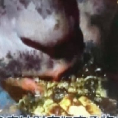 東大理一 関西浪人勢 一浪 元駿台 ヒカル、ナスD尊敬してます。。。海外系興味あり #oasis #radiohead #travis #メジャーリーグ #ナショナルズ