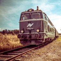 Reblaus Express (@reblausexpress) 's Twitter Profile
