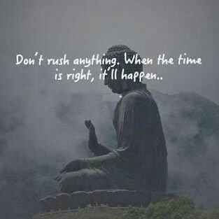 Jignesh2411's profile picture. 