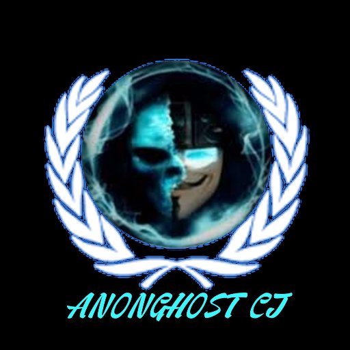 ”私たちは #AnonGhost です。”#Anonymous #hacktivism #OpIsrael #FreePalestine We will fight for you on the internet