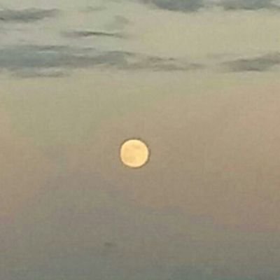 sergio_16pro's profile picture. Si