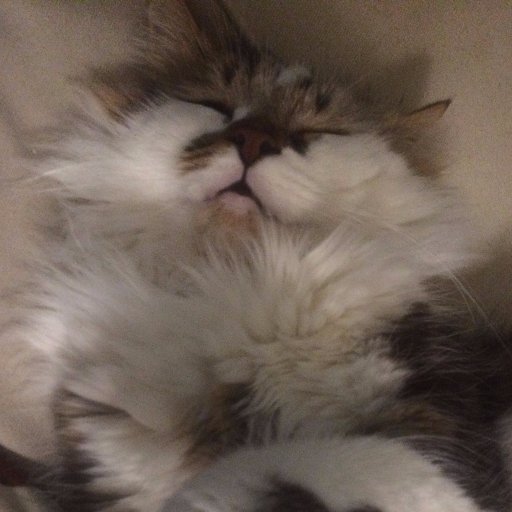 mrlourawls's profile picture. 