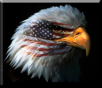 Super_Patriot's profile picture. Concerned American Citizen.  We are becoming slaves to an out of control Government.  God Bless and save our Republic!