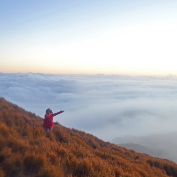 joylheenrizo's profile picture. Wanderlust ✨